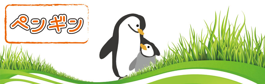 動物占い　占う動物ペンギンの紹介